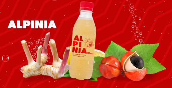 Το ALPINIA είναι βασισμένο στα αναψυκτικά φυσικού περιεχομένου και δεν περιέχει συντηρητικά, διατηρείται στο ψυγείο έως και 4 μήνες. Το όνομα ALPINIA προέρχεται από το φυτό GALANGAL. Έχει ευεργετικές ιδιότητες και χρησιμοποιείται στην ιατρική στην Ασία αλλά και ως μπαχαρικό στα φαγητά. Όλα τα βότανα και οι ρίζες που χρησιμοποιούμε προέρχονται από την Ασία. To GUARANA από την άλλη είναι ένα φυτό που είναι διεργετικό λόγω της καφεΐνης που περιέχει και λόγω της εμφάνισης του φυτού έχει όνομα ΜΑΤΙΑ ΤΩΝ ΘΕΩΝ.